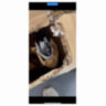 Велосипед Outleap Dragon 20″ Blue (царапины) 6-9